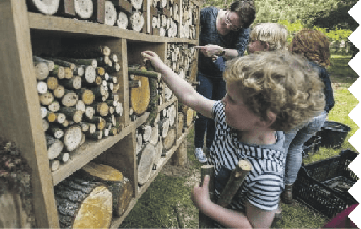 Bijenwerkdag 15 en 16 maart 2019