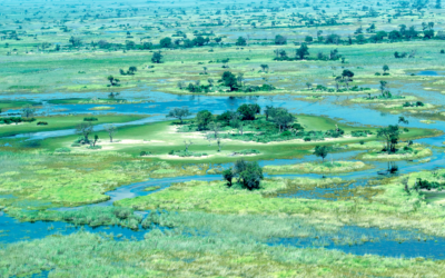 botswana