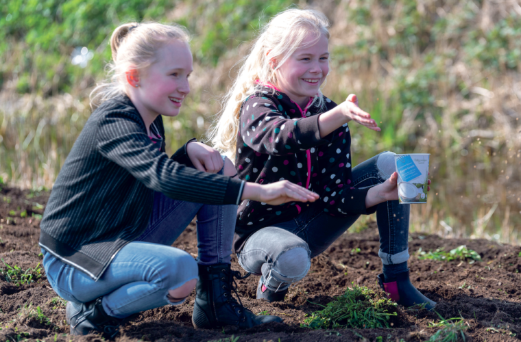 biodiversiteit