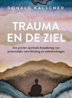 9789020221343 Trauma en de ziel - cover - vk