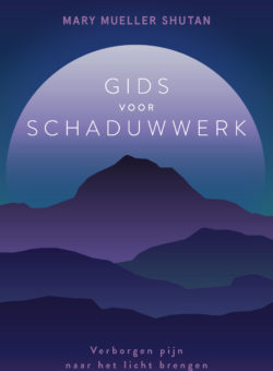 9789020221510 Gids voor schaduwwerk - cover