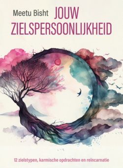 9789020221688 Jouw zielspersoonlijkheid - cover - vk