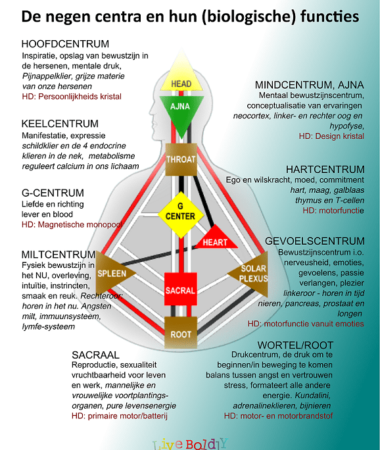 Live Boldly Coaching Maarssen - De relatie tussen de centra en de biologische functies - vk